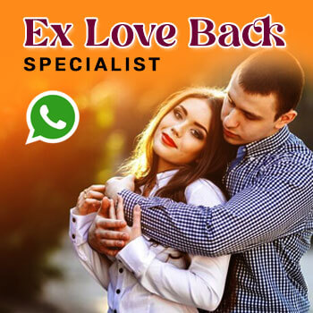 Ex Love Back Specialist